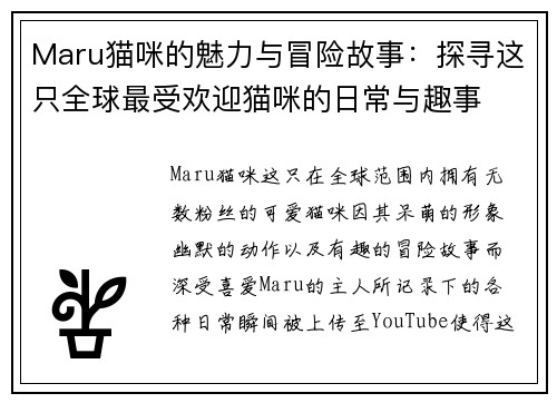 Maru猫咪的魅力与冒险故事：探寻这只全球最受欢迎猫咪的日常与趣事